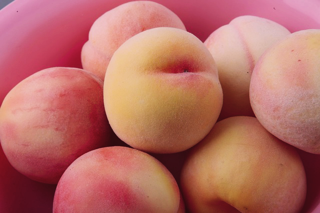 옥천 복숭아 (4.5kg)